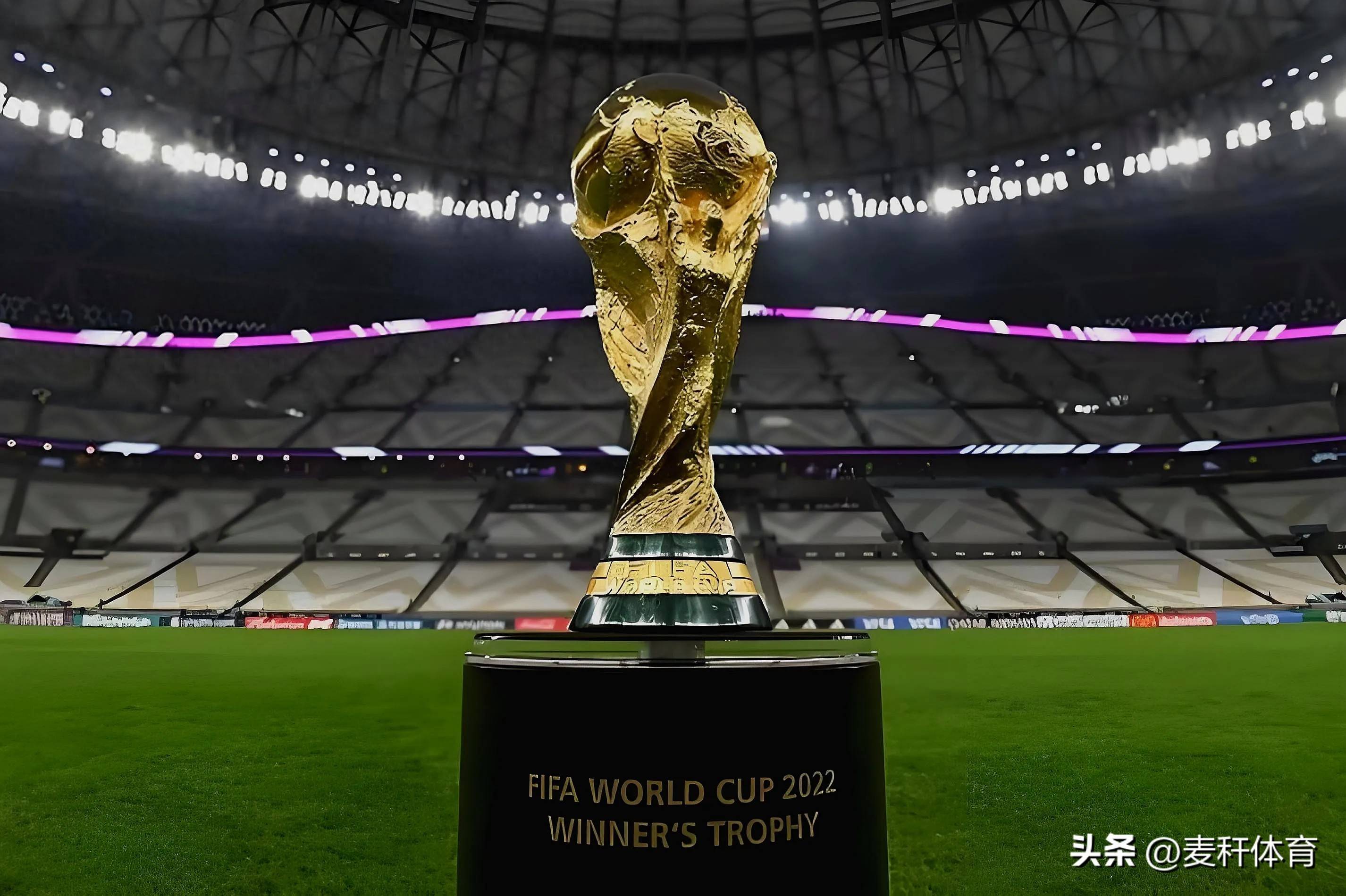 有充足的体 有充足的体