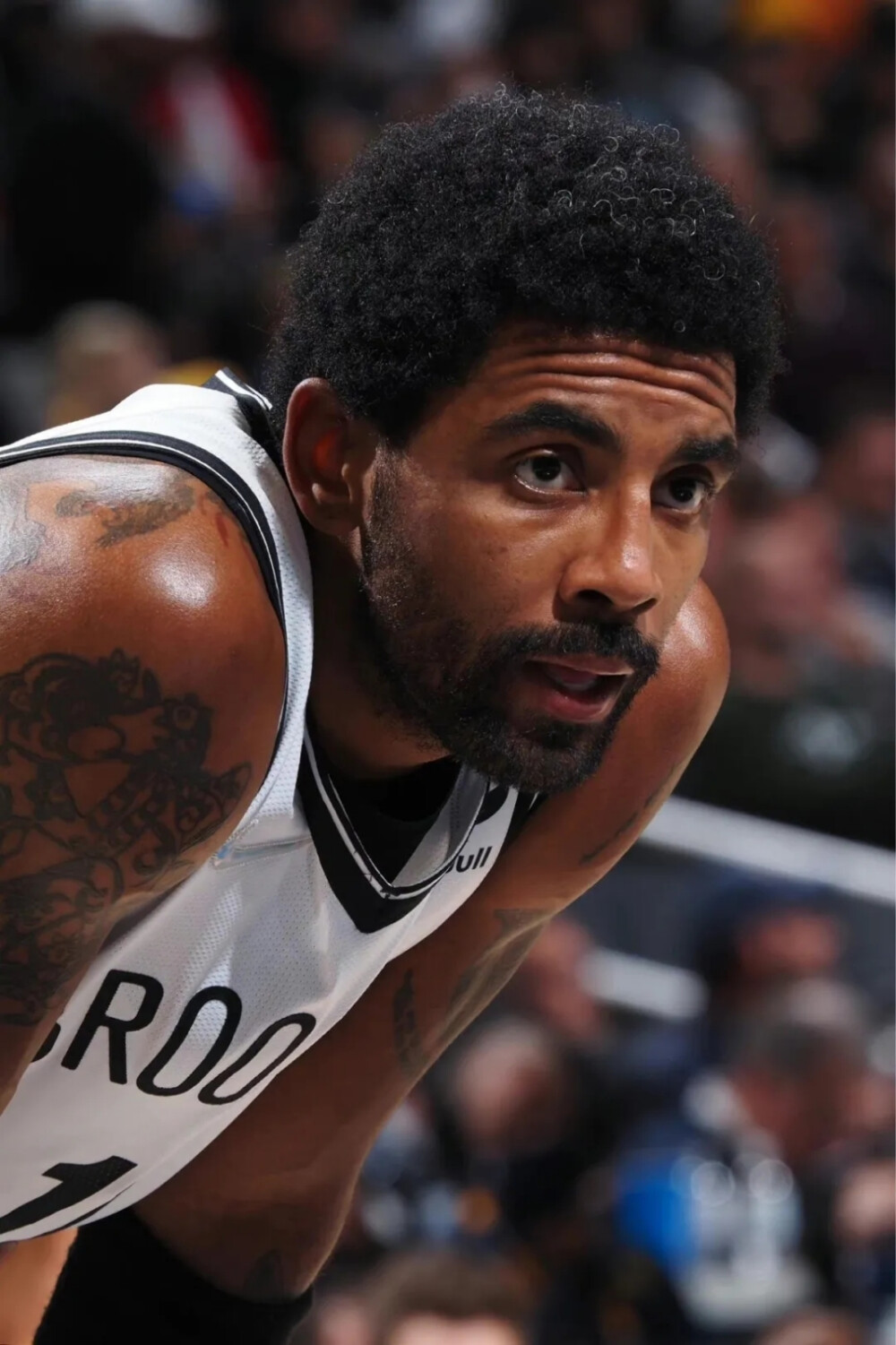 投资为他们 投资为他们