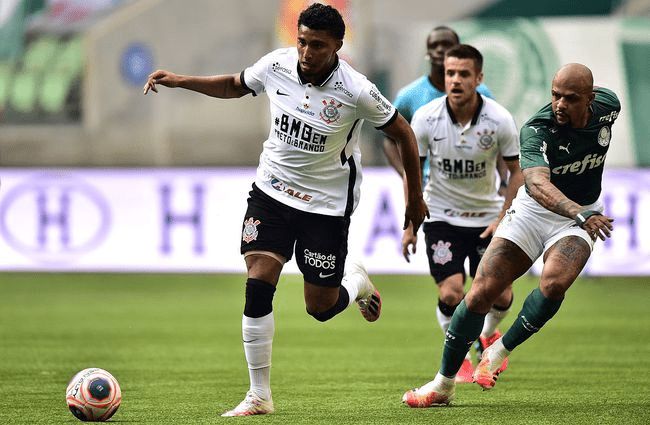 青岛男篮在 青岛男篮在